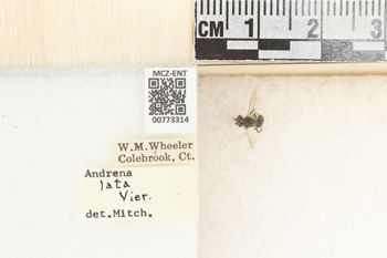 Media type: image;   Entomology 773314 Aspect: Labels